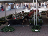 クリスマスの植木市