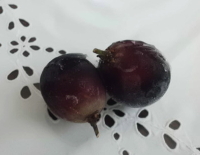 葡萄の冷凍保存