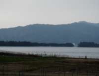 葡萄畑から見た天橋立