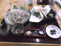 清見庵の天ざる