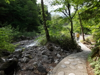 平湯大滝への遊歩道