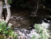 貴船川
