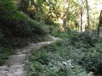 四十八滝遊歩道