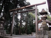 黒木の鳥居