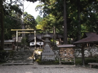 内宮　黒木の鳥居