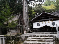 元伊勢内宮　本殿