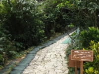 斎場御嶽